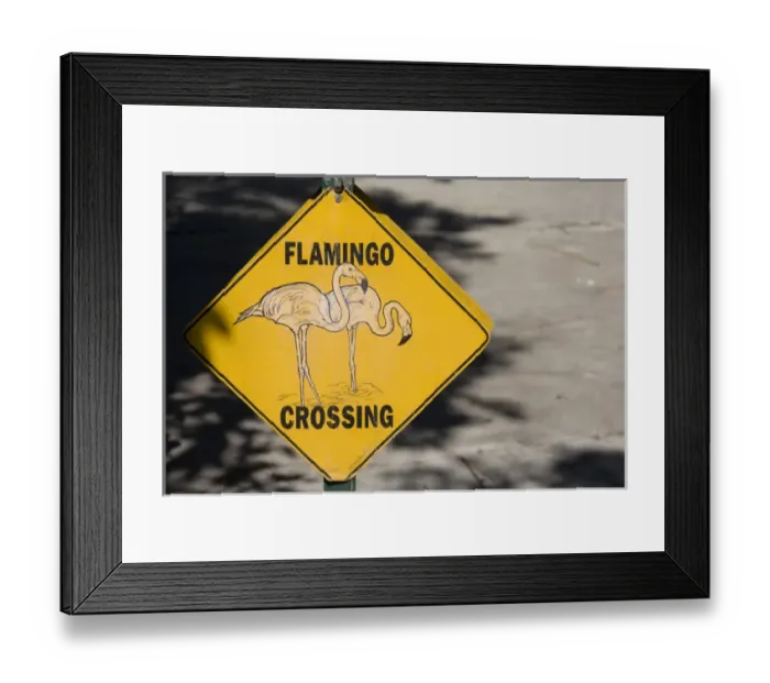 Framed Print : Flamingo Crossing Sign, Nassau, Bahamas Framed Print : Flamingo Crossing Sign, Nassau, Bahamas