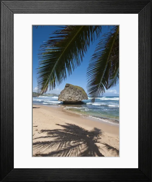 Framed Print : Bathsheba Beach Barbados, Caribbean Framed Print : Bathsheba Beach Barbados, Caribbean
