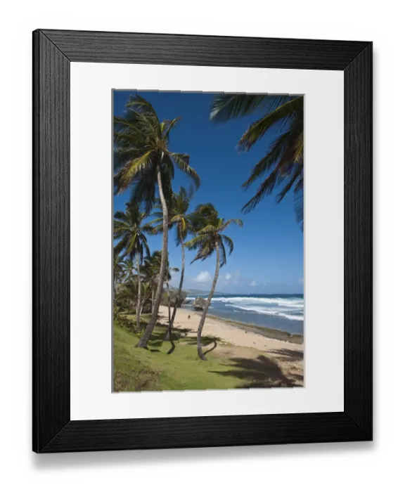 Framed Print : Bathsheba Beach Barbados, Caribbean Framed Print : Bathsheba Beach Barbados, Caribbean