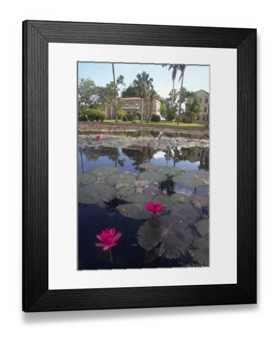 Framed Print : 01. Caribbean, West Indies, Barbados. Codrington College. St. John Parish Framed Print : 01. Caribbean, West Indies, Barbados. Codrington College. St. John Parish