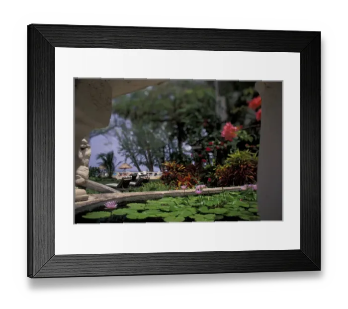Framed Print : N. AMERICA, Caribbean, Barbados Tropical Blossoms, Coral Reef Club entrance Framed Print : N. AMERICA, Caribbean, Barbados Tropical Blossoms, Coral Reef Club entrance