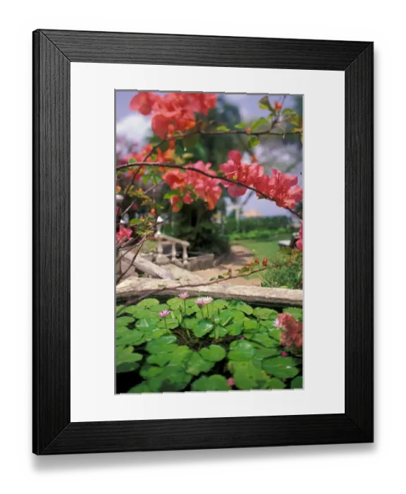 Framed Print : Barbados, Coral Reef Club entrance. Tropical blossoms