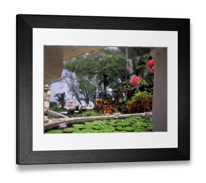Framed Print : Caribbean, Barbados. Tropical blossoms and pond at the entrance to the Coral Reef Club Framed Print : Caribbean, Barbados. Tropical blossoms and pond at the entrance to the Coral Reef Club