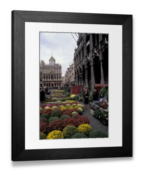 Framed Print : Europe, Belgium, Brussels Flower market, Grand Place Framed Print : Europe, Belgium, Brussels Flower market, Grand Place