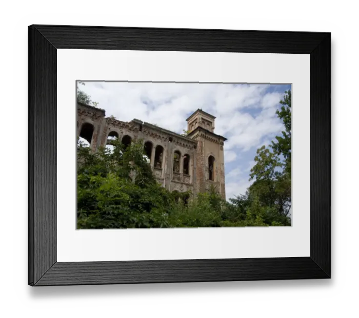 Framed Print : Bulgaria, Port city of Vidin along the Danube River. Ruins of Jewish Synagogue, c. 1894 Framed Print : Bulgaria, Port city of Vidin along the Danube River. Ruins of Jewish Synagogue, c. 1894