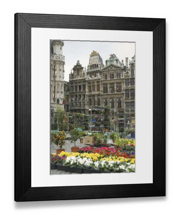 Framed Print : Europe, Belgium, Brussels-Capital Region, Brussels, Brussel, Bruxelles, flower market Framed Print : Europe, Belgium, Brussels-Capital Region, Brussels, Brussel, Bruxelles, flower market