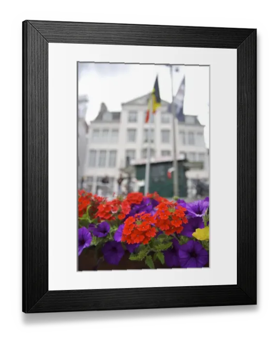 Framed Print : Europe, Belgium, Ghent. Flowers near Ghents waterfront, historic buildings Framed Print : Europe, Belgium, Ghent. Flowers near Ghents waterfront, historic buildings