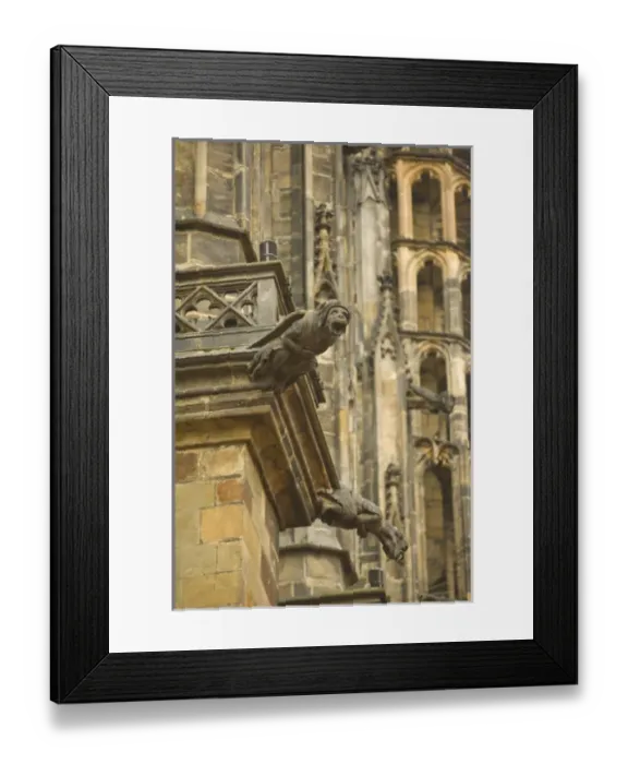 Framed Print : Gargoyles on the ornate West front of St Vituss Cathedral, Prague Castle, Prague