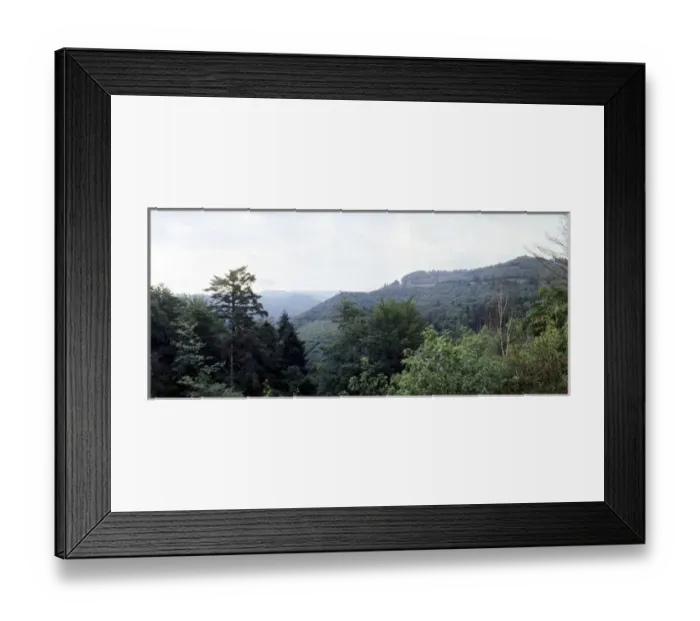 Framed Print : The Black Forest, GERMANY Framed Print : The Black Forest, GERMANY