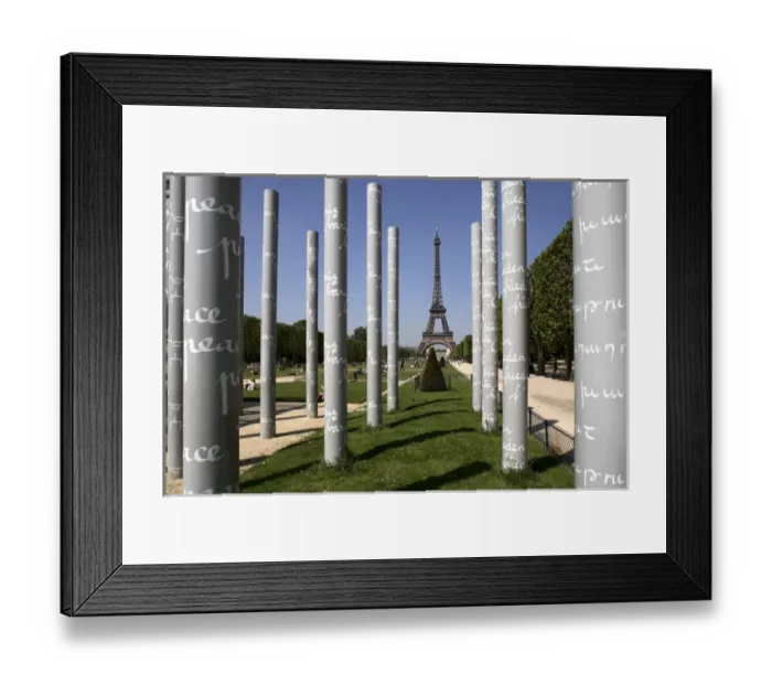 Framed Print : Park of Champ-de-Mars with Eiffel Tower in the background. Paris. France