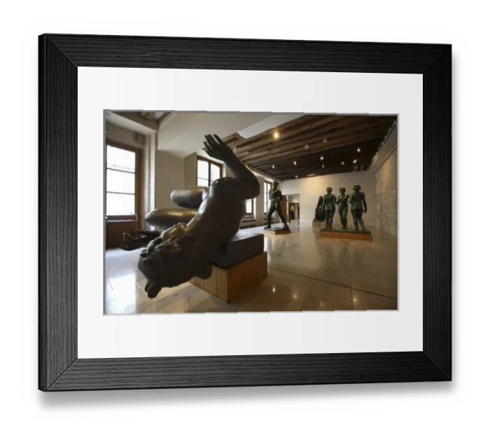 Framed Print : The interior view of the exhibition hall in Musee Maillol-Fondation Diana Vierny Framed Print : The interior view of the exhibition hall in Musee Maillol-Fondation Diana Vierny