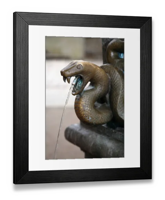 Framed Print : Europe, Czech Republic, Karlovy Vary. A bronze snake head decorated hot spring fountain
