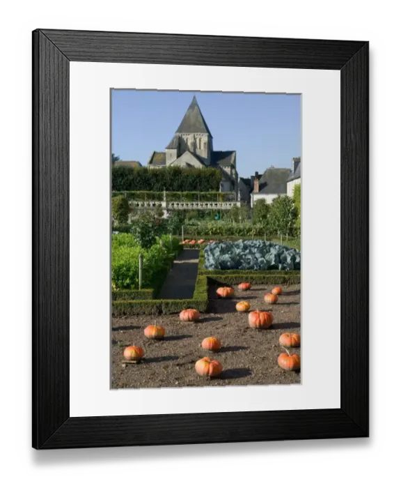 Framed Print : Garden at the Chateau of Villandry in autumn, Indre-et-Loire, Loire Valley, France Framed Print : Garden at the Chateau of Villandry in autumn, Indre-et-Loire, Loire Valley, France