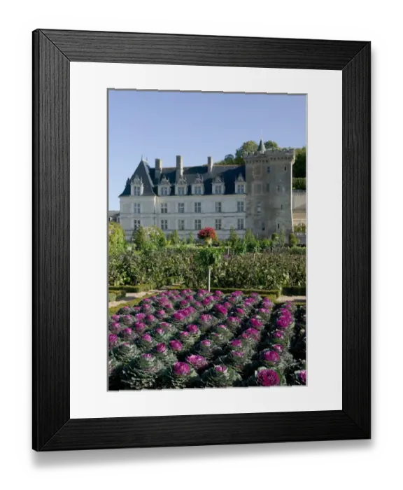 Framed Print : Garden at the Chateau of Villandry in autumn, Indre-et-Loire, Loire Valley, France