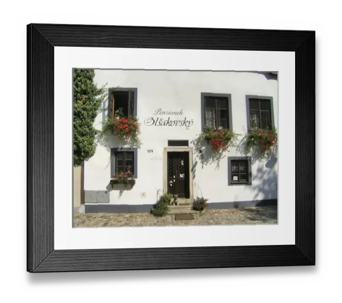 Framed Print : Europe, Czech Republic, Cesky Krumlov. A Miniature Schnauser stands guard at colorful Framed Print : Europe, Czech Republic, Cesky Krumlov. A Miniature Schnauser stands guard at colorful