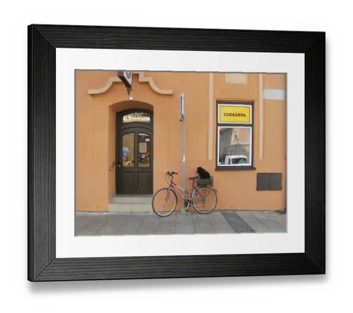 Framed Print : Europe, Czech Republic, Ceske Budejovice. A small poodle waits patiently on his bicycle Framed Print : Europe, Czech Republic, Ceske Budejovice. A small poodle waits patiently on his bicycle