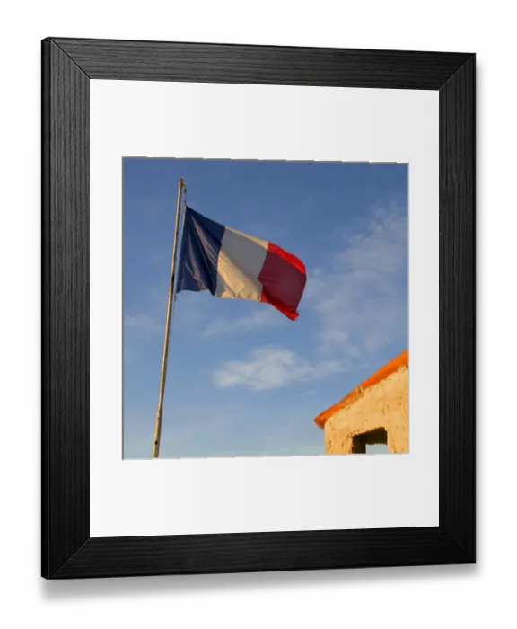 Framed Print : 03. French Flag