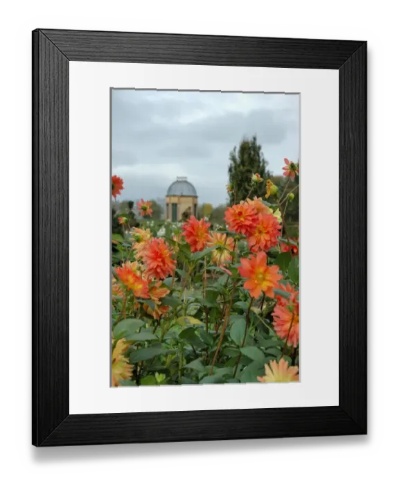 Framed Print : 03. France, Burgundy, Cormatin, Chateau de Cormatin, asters and Dovecote in gardens Framed Print : 03. France, Burgundy, Cormatin, Chateau de Cormatin, asters and Dovecote in gardens