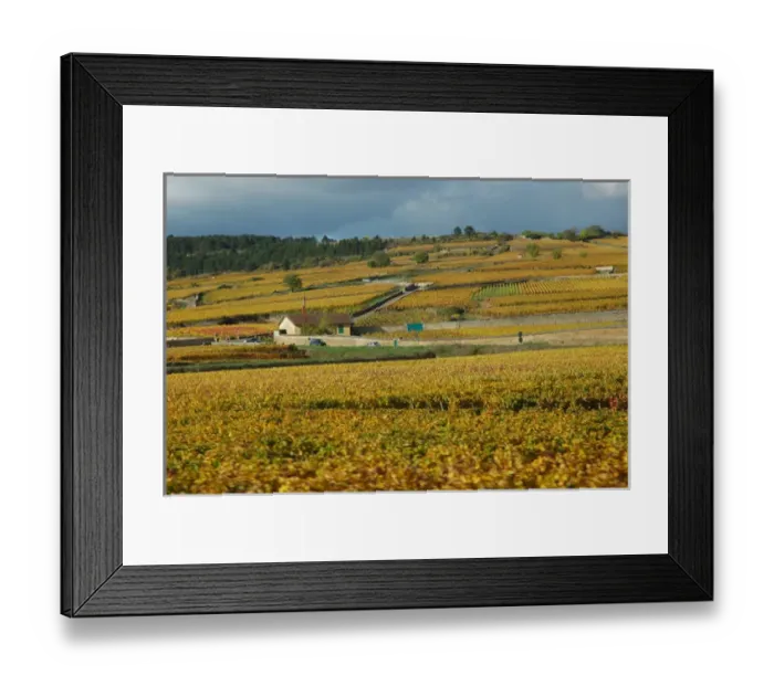 Framed Print : 03. France, Burgundy, vineyards near Beaune Framed Print : 03. France, Burgundy, vineyards near Beaune