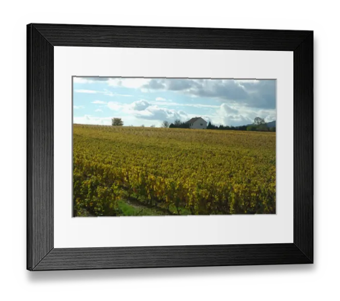 Framed Print : 03. France, Burgundy, private home among vineyards (Editorial Usage Only) Framed Print : 03. France, Burgundy, private home among vineyards (Editorial Usage Only)