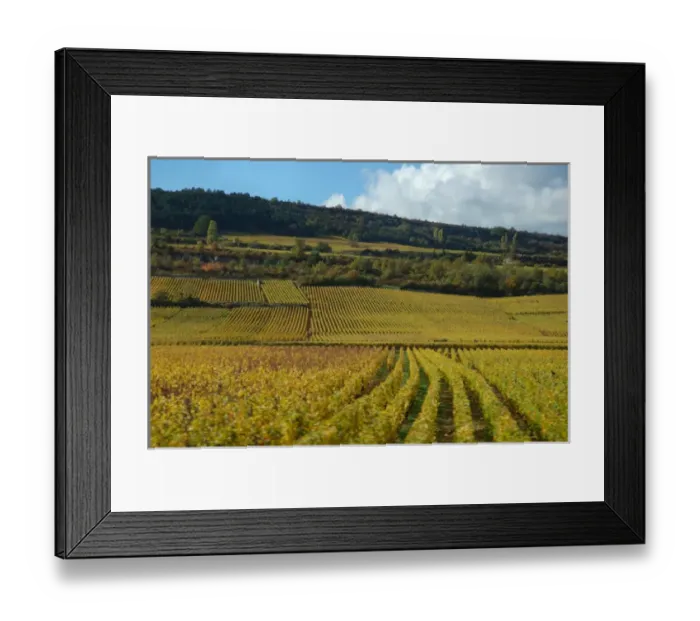 Framed Print : 03. France, Burgundy, vineyards near Beaune Framed Print : 03. France, Burgundy, vineyards near Beaune
