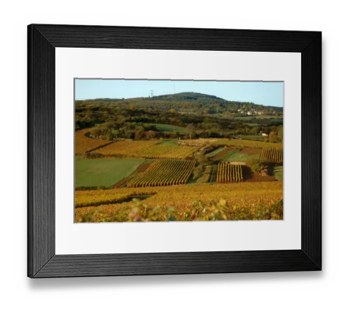 Framed Print : 03. France, Maconnais Region, Autumn morning in Pouilly-Fuisse vineyards Framed Print : 03. France, Maconnais Region, Autumn morning in Pouilly-Fuisse vineyards