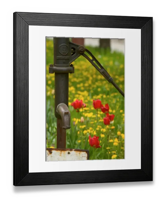 Framed Print : water pump, Czech Republic, Znojmo Framed Print : water pump, Czech Republic, Znojmo