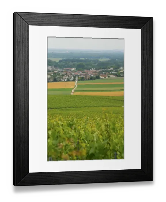 Framed Print : a view over the village and vineyards of Chouilly at the experimental vineyard of Framed Print : a view over the village and vineyards of Chouilly at the experimental vineyard of
