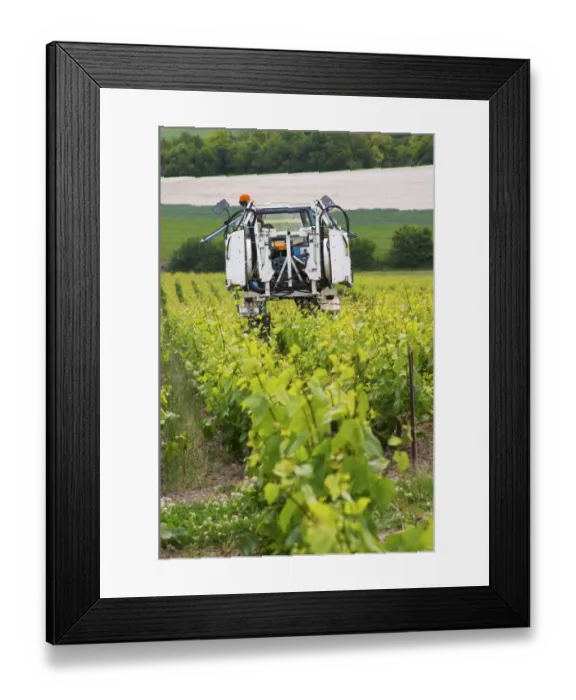 Framed Print : A vineyard tractor that can be used for spraying and for mechanical weed removal Framed Print : A vineyard tractor that can be used for spraying and for mechanical weed removal