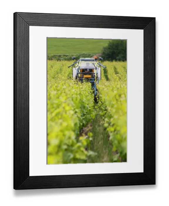 Framed Print : A vineyard tractor that can be used for spraying and for mechanical weed removal Framed Print : A vineyard tractor that can be used for spraying and for mechanical weed removal