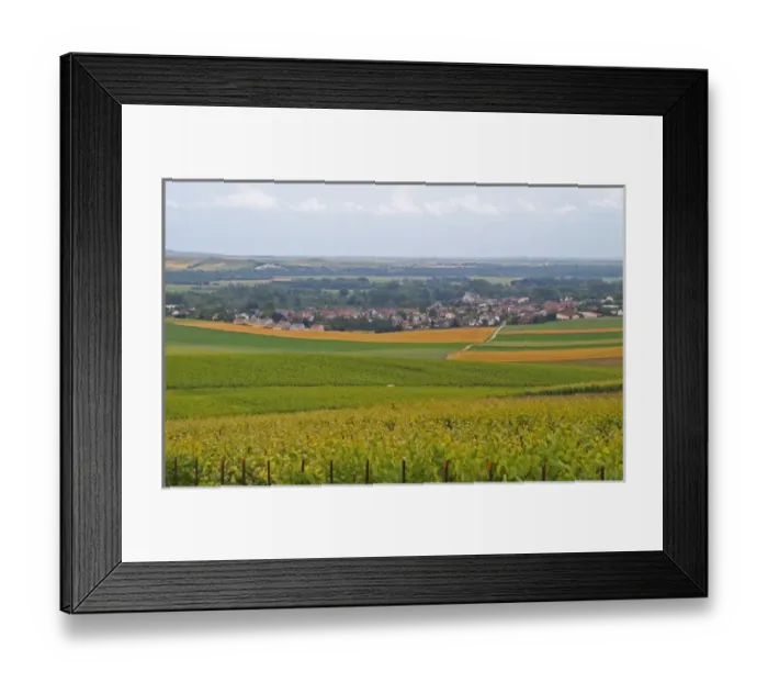 Framed Print : a view over the village and vineyards of Chouilly at the experimental vineyard of Framed Print : a view over the village and vineyards of Chouilly at the experimental vineyard of