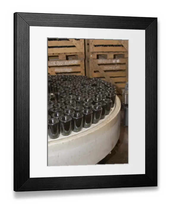Framed Print : In the winery: bottles upside down in a machine that puts the neck in a salt solution Framed Print : In the winery: bottles upside down in a machine that puts the neck in a salt solution