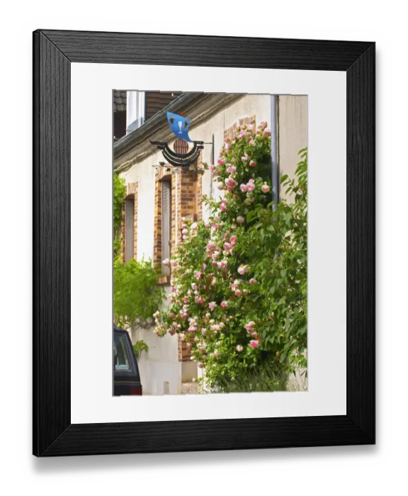 Framed Print : A village hous with a giant rose bush and a wrought A wrouight iron painted sign