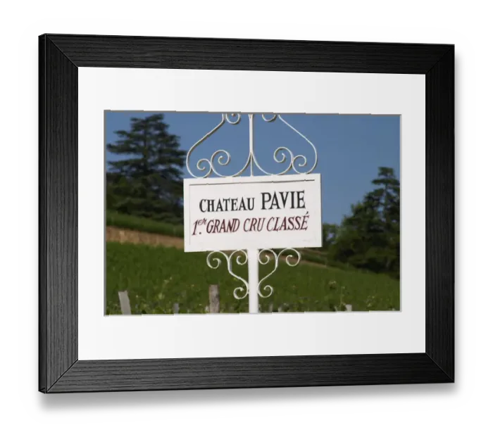 Framed Print : A white sign in the vineyard of Chateau Pavie 1st, premier first Grand Cru Classe