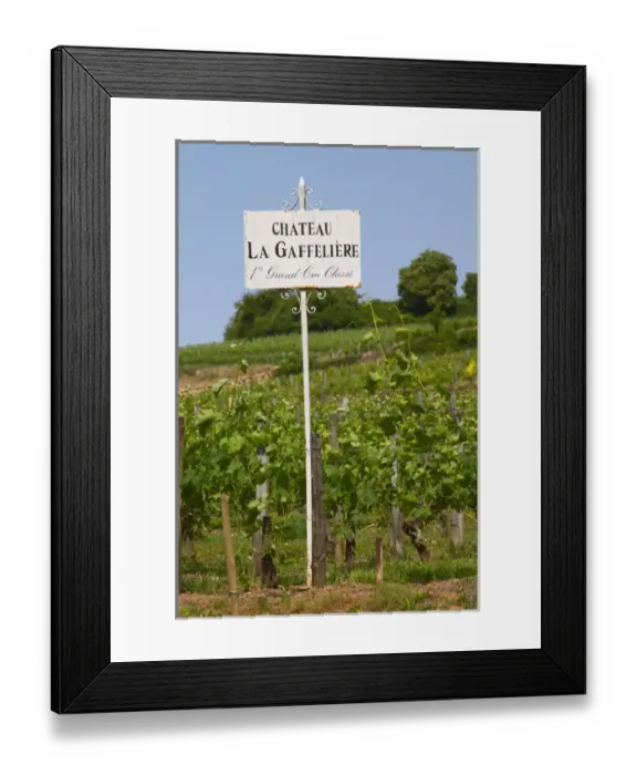 Framed Print : A white sign in the vineyard saying Chateau La Gaffeliere Gaffeliere 1st, premier Framed Print : A white sign in the vineyard saying Chateau La Gaffeliere Gaffeliere 1st, premier