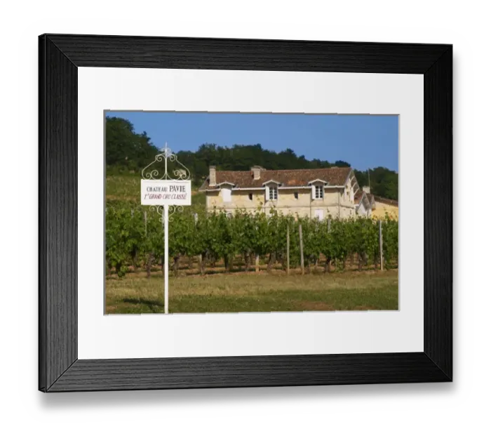 Framed Print : A white sign in the vineyard and the chateau of Chateau Pavie 1st, premier first Framed Print : A white sign in the vineyard and the chateau of Chateau Pavie 1st, premier first