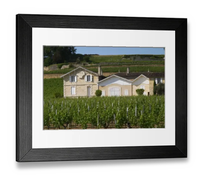 Framed Print : Chateau Pavie 1st, premier first Grand Cru Classe and its vineyards Saint Emilion