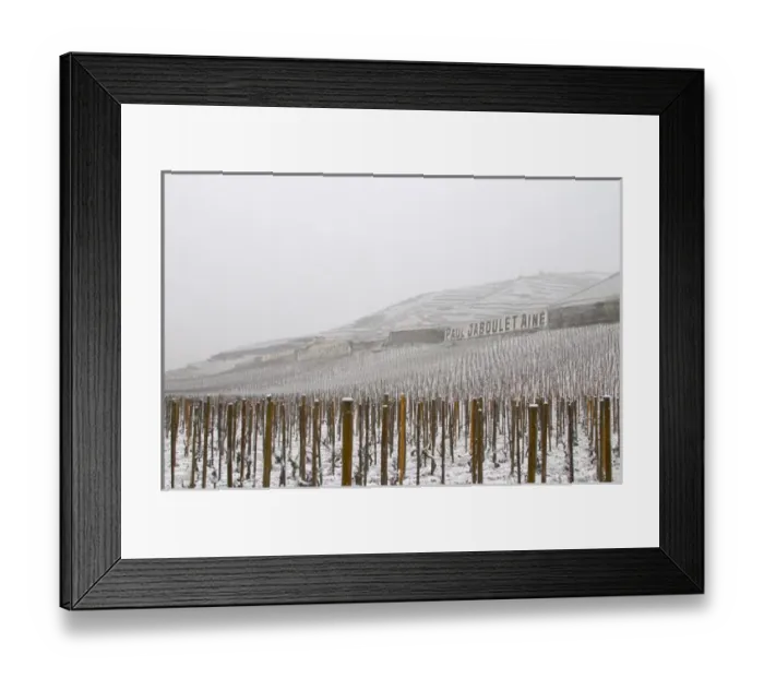 Framed Print : Sign Paul Jaboulet Aine, M Chapoutier, the Les Greffeux vineyard in front. The Hermitage Framed Print : Sign Paul Jaboulet Aine, M Chapoutier, the Les Greffeux vineyard in front. The Hermitage