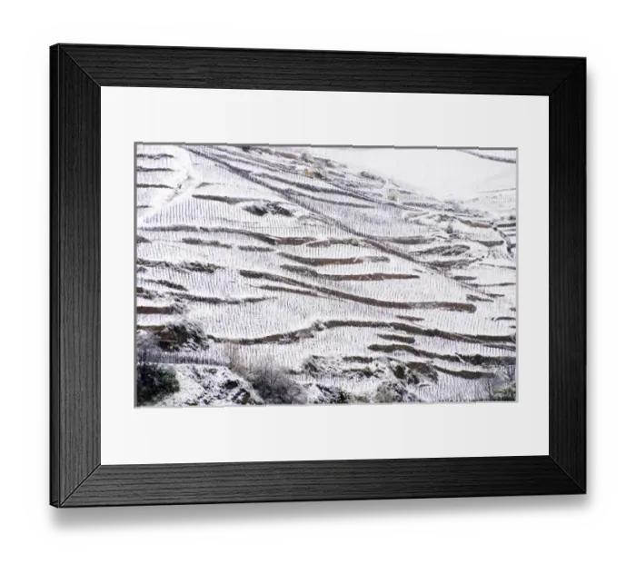 Framed Print : The ermitage vineyard just below the chapel. The Hermitage vineyards on the hill Framed Print : The ermitage vineyard just below the chapel. The Hermitage vineyards on the hill