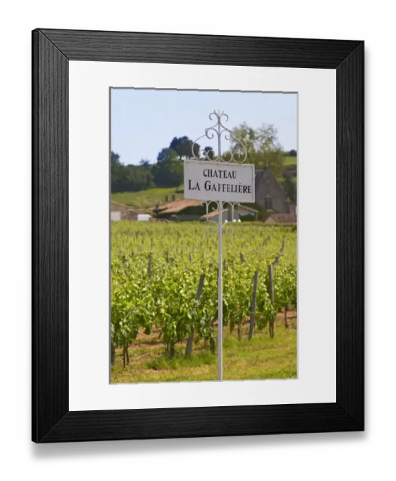 Framed Print : A white sign in the vineyard saying Chateau La Gaffeliere Gaffeliere Saint Emilion