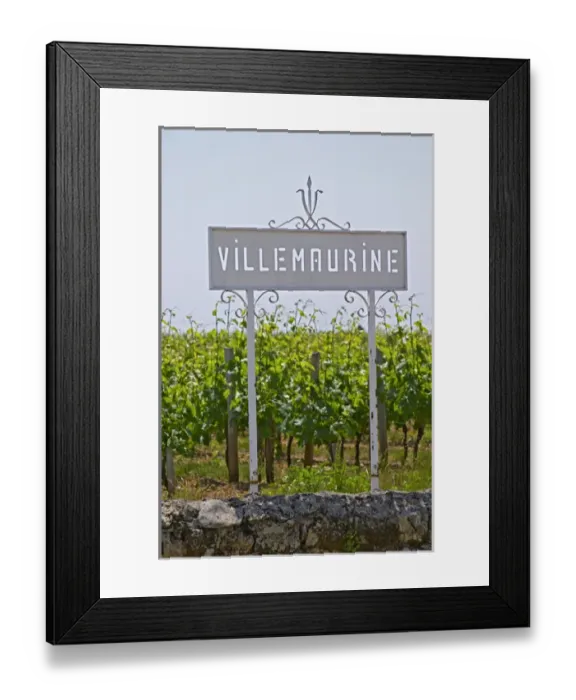 Framed Print : A white sign in the vineyard saying Chateau Villemaurine Saint Emilion Bordeaux