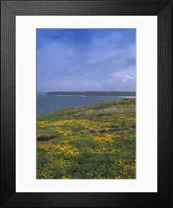 Framed Print : EU, France, Brittany, Finistere, Pointe Du Van, Coastal view