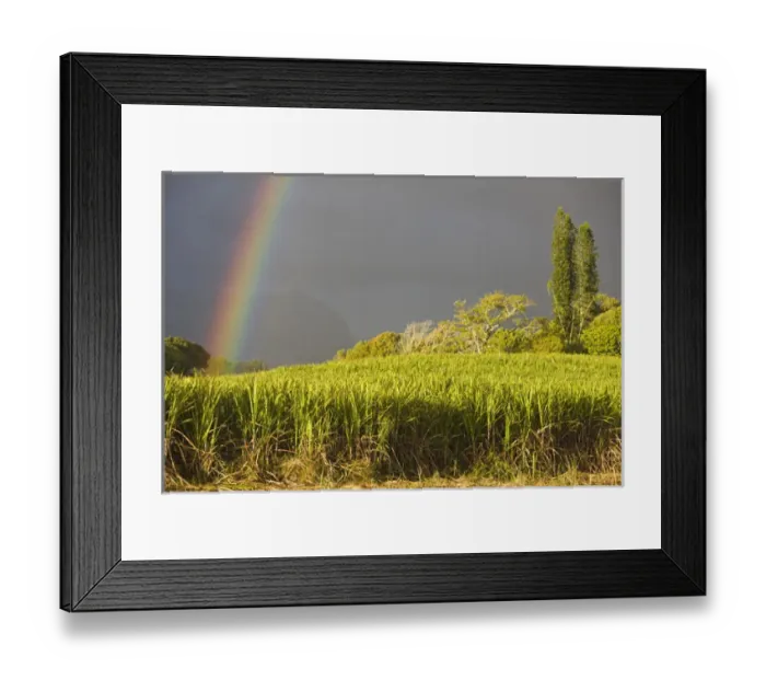 Framed Print : France, Reunion Island, St-Andre, Cirque de Salazie, Sugar Cane Field with Rainbow Framed Print : France, Reunion Island, St-Andre, Cirque de Salazie, Sugar Cane Field with Rainbow