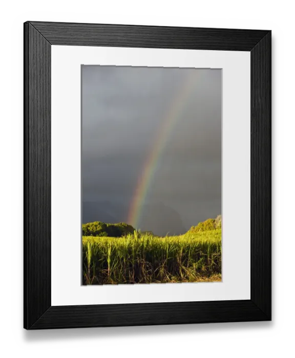 Framed Print : France, Reunion Island, St-Andre, Cirque de Salazie, Sugar Cane Field with Rainbow Framed Print : France, Reunion Island, St-Andre, Cirque de Salazie, Sugar Cane Field with Rainbow