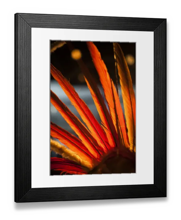 Framed Print : France, Paris, Musee du Quai Branly museum, Wayama mask-headress detail, brasil Framed Print : France, Paris, Musee du Quai Branly museum, Wayama mask-headress detail, brasil