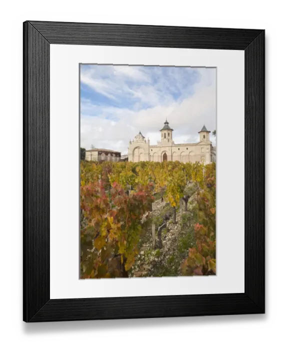 Framed Print : France, Aquitaine Region, Gironde Department, Haute-Medoc Area, St-Estephe, Chateau