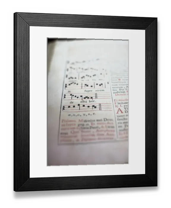 Framed Print : France, Midi-Pyrenees Region, Tarn Department, Albi, Cathedrale Ste-Cecile cathedral Framed Print : France, Midi-Pyrenees Region, Tarn Department, Albi, Cathedrale Ste-Cecile cathedral