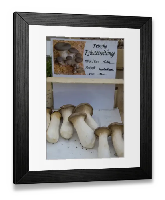 Framed Print : Europe, Germany, Bavaria, Regensburg, fresh mushrooms for sale Framed Print : Europe, Germany, Bavaria, Regensburg, fresh mushrooms for sale