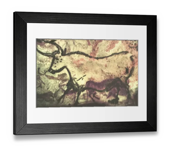 Framed Print : White Bull, Prehistoric Cave Painting, Lascaux. l France Framed Print : White Bull, Prehistoric Cave Painting, Lascaux. l France