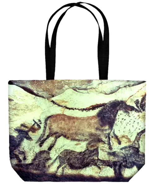 Lascaux cave painting. Bulls & horses. Copyright: aA Collection Ltd